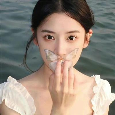 老柿子树