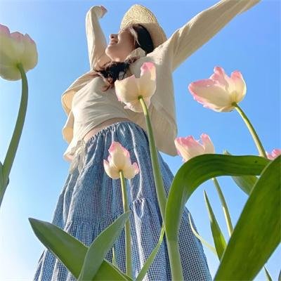 欲海女王蜂